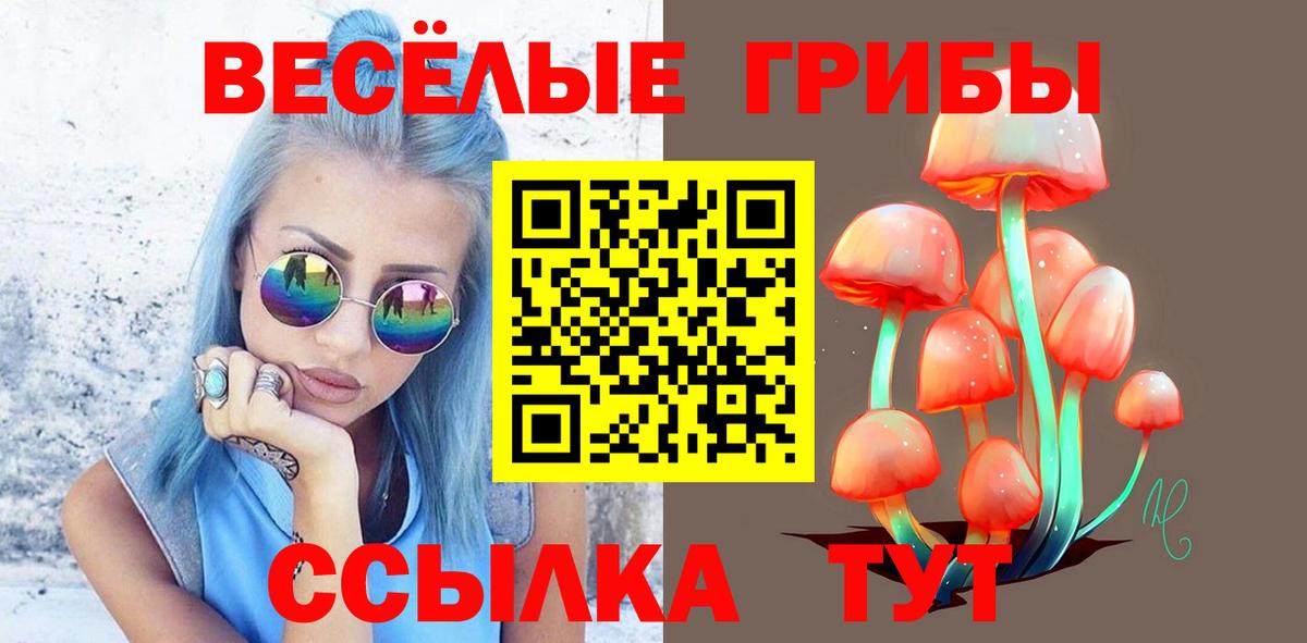 Галлюциногенные грибы прущие грибы  Вход с VPN  Тольятти 